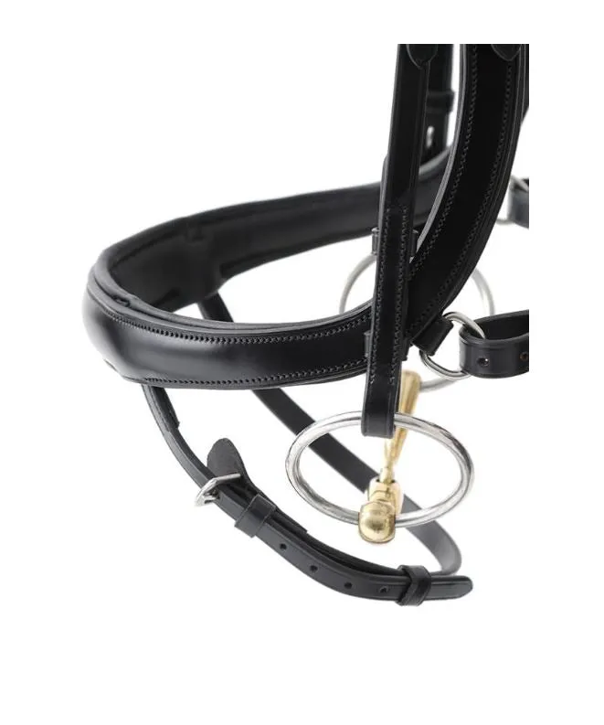 PE Savuto Anatomical Bridle with Crank Noseband & Flash