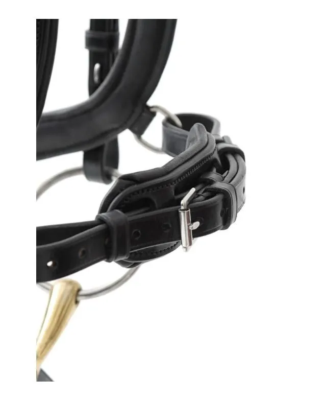 PE Savuto Anatomical Bridle with Crank Noseband & Flash