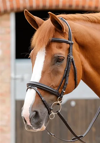PE Sport Delizioso Snaffle Bridle