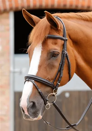 PE Sport Delizioso Snaffle Bridle